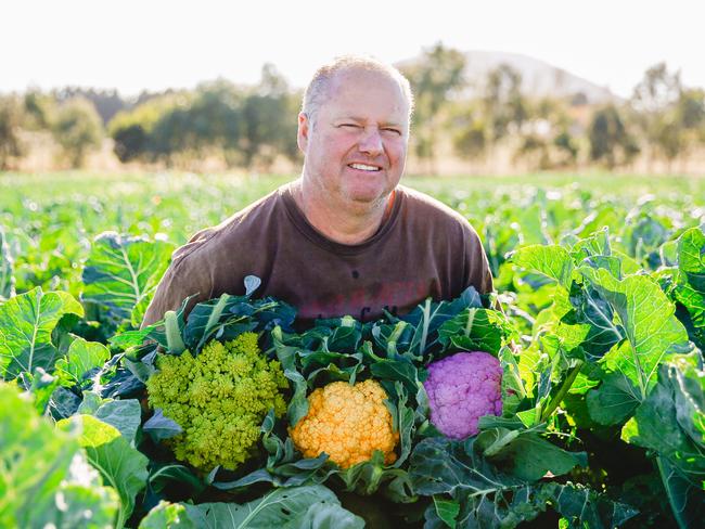 David Tatman from Spring Creek Organics at Navigators with their purple, orange and romanesco cauliflowers. Photo by Chloe Smith.