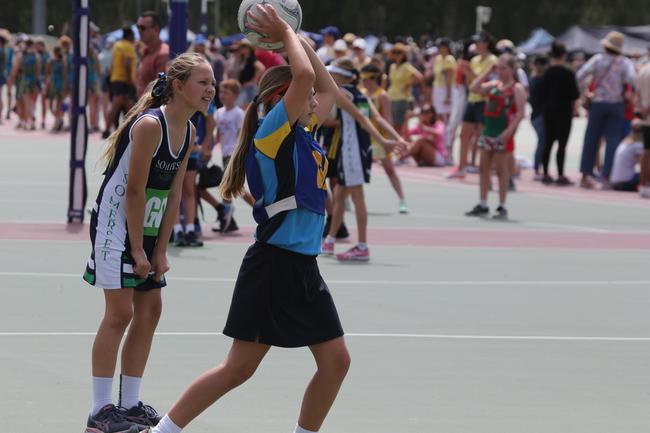 The Netball Qld Primary Schools Cup grand finals are being held at the Hinterland District Netball Association at Mudgeeraba. Picture: Mike Batterham.
