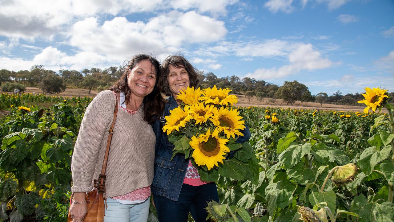 Vanessa Crowe (left) and Melissa Baker.Open day at Warraba Sunflowers, Cambooya. Saturday June 29th, 2024