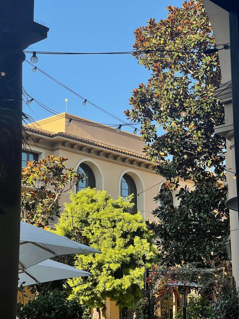 The Terrace at The Maybourne. Picture: Natalie Brown/news.com.au