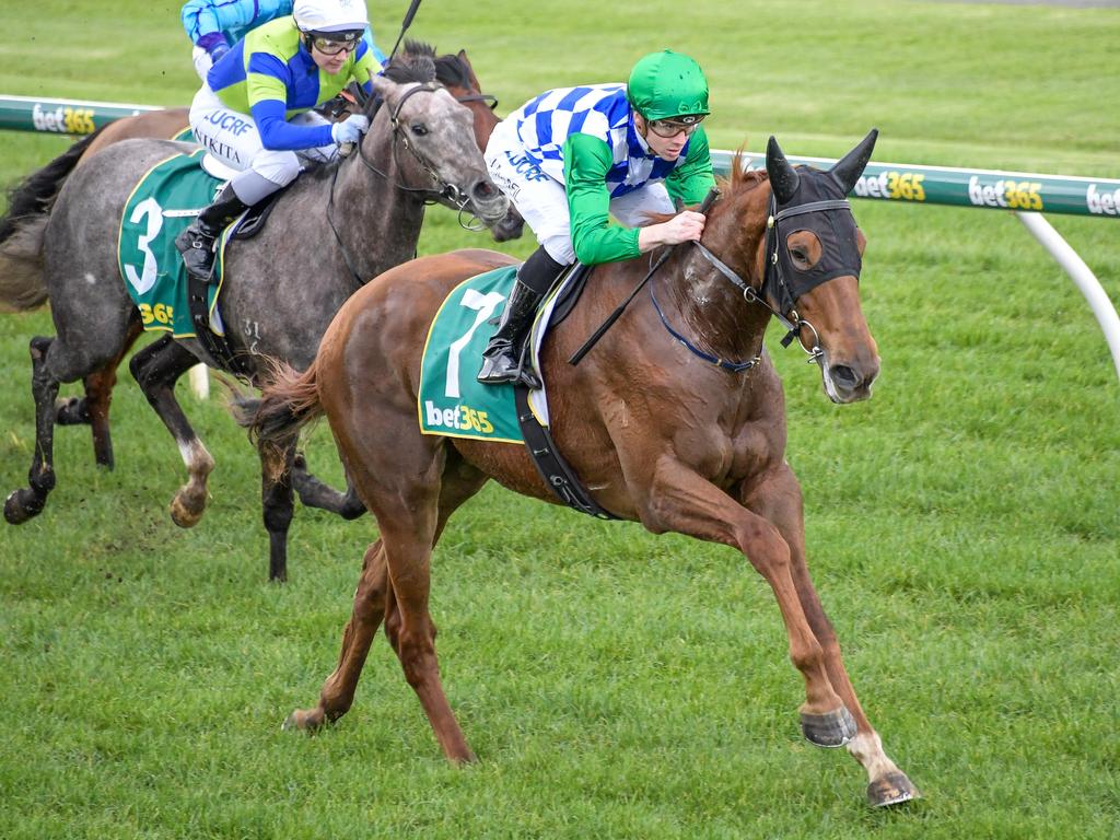 Moonlight Maid wins her first race at Geelong in June 14.