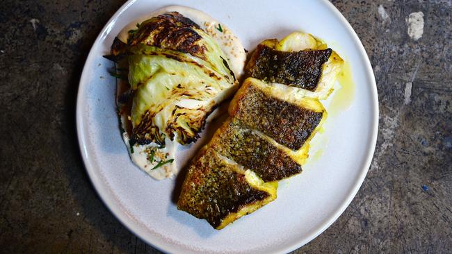 Bar Saracen’s Murray cod with charred cabbage. Picture: Nicki Connolly