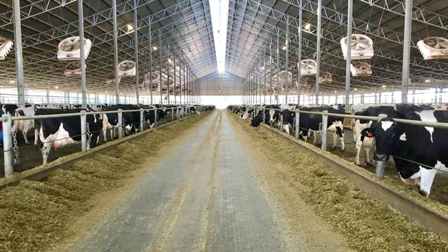 The Coomboona dairy operation.