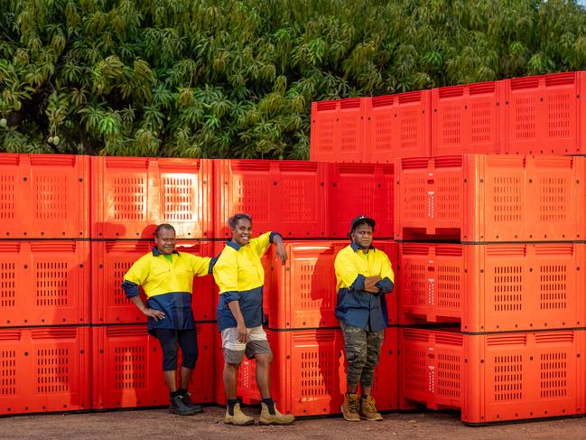 Seasonal workers from Vanuatu at work in the Northern Territory. Picture: Che Chorley