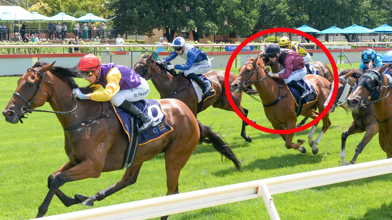 Mrs Secombe (circled) was an eye-catcher behind Pula at Bendigo last time out and can break through for her maiden victory at Kyneton on Tuesday. Picture: Brett Holburt / Racing Photos