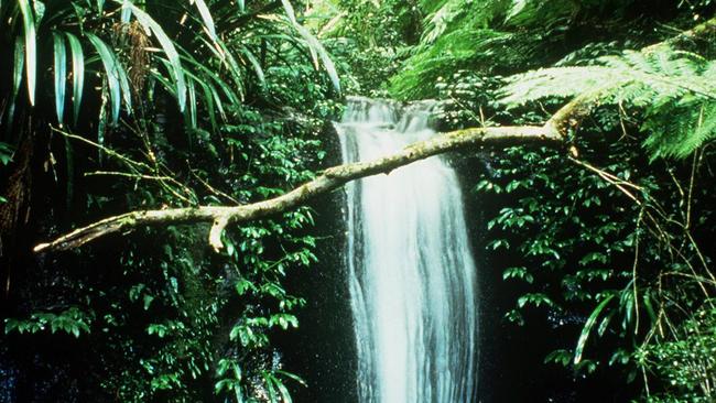 A waterfall in the Coomera Gorge.