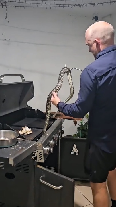 Aussie snake catcher finds huge carpet python in BBQ