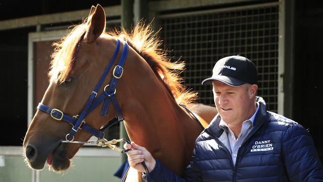 Trainer Danny O’Brien couldn’t be happier with Vow And Declare. Picture: Getty Images