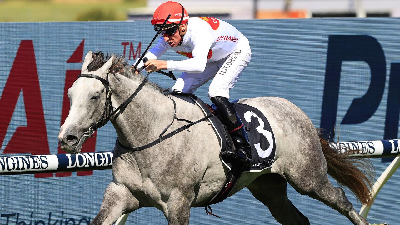 Spring Champion Stakes: Classy grey Love Tap rising fast as a new fan ...