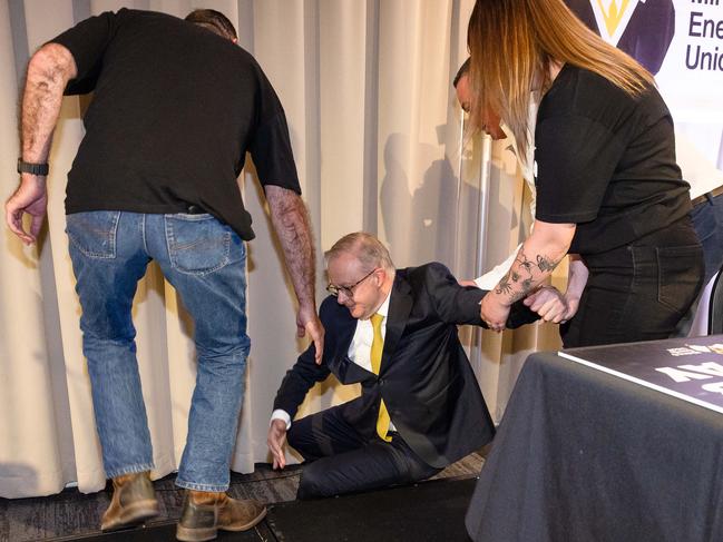 Anthony Albanese lied about falling off the stage, even though we all saw the footage. Picture: Jason Edwards