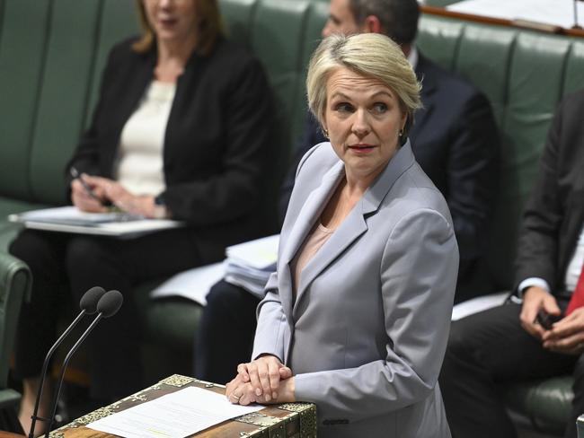 Minister for the Environment and Water Tanya Plibersek during Question Time at Parliament House in Canberra. Picture: NewsWire / Martin Ollman