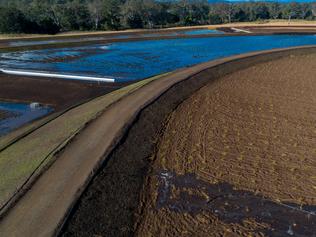 ‘Polishing sewage’ in man-made wetlands