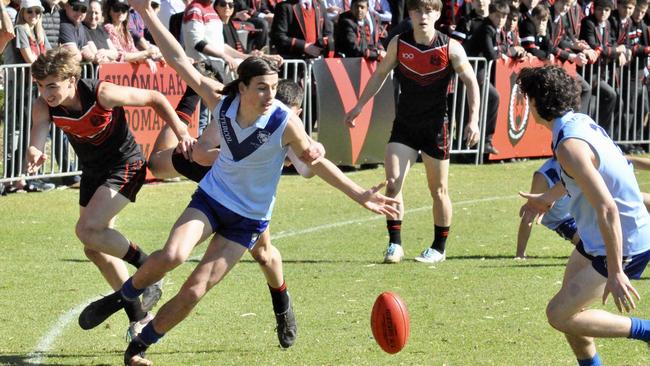 Sacred Heart prospect Ben Camporeale. Picture: Sacred Heart College