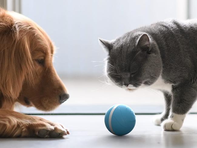 Pet tech: The Cheerble Wicked Ball - $79