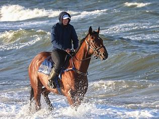 Jameka at the Beach