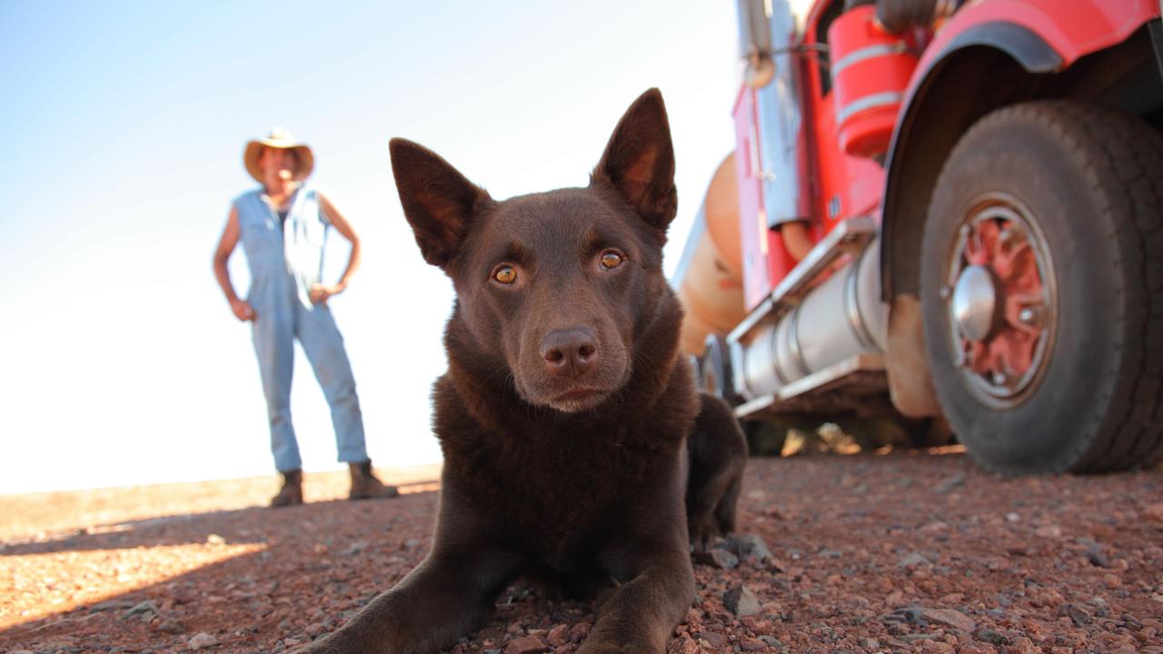 Red Dog was immortalised in a 2011 feature film.