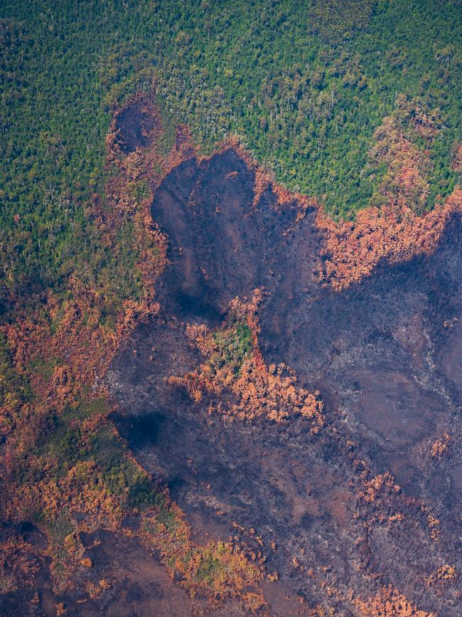 2019 Tasmanian bush fires. Fire burning into rainforest, Deception Ridge, Celtic Hill Fire - at Southwest National Park. . Picture - LUKE TSCHARKE / PAR AVION