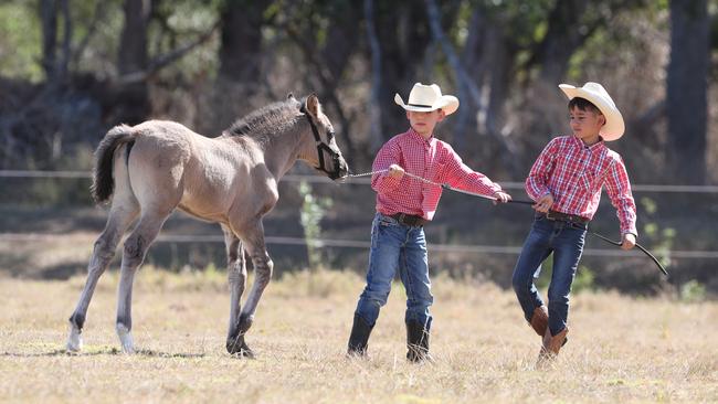 Eight-year-old twins Daniel and Wyatt Wong at Dayboro with Soloman. Picture: Annette Dew