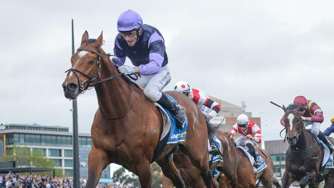 Jockey Jamie Mott and Mighty Ulysses will need to overcome a tough draw in Saturday's $500,000 Cranbourne Cup. Picture: Racing Photos via Racing Photos