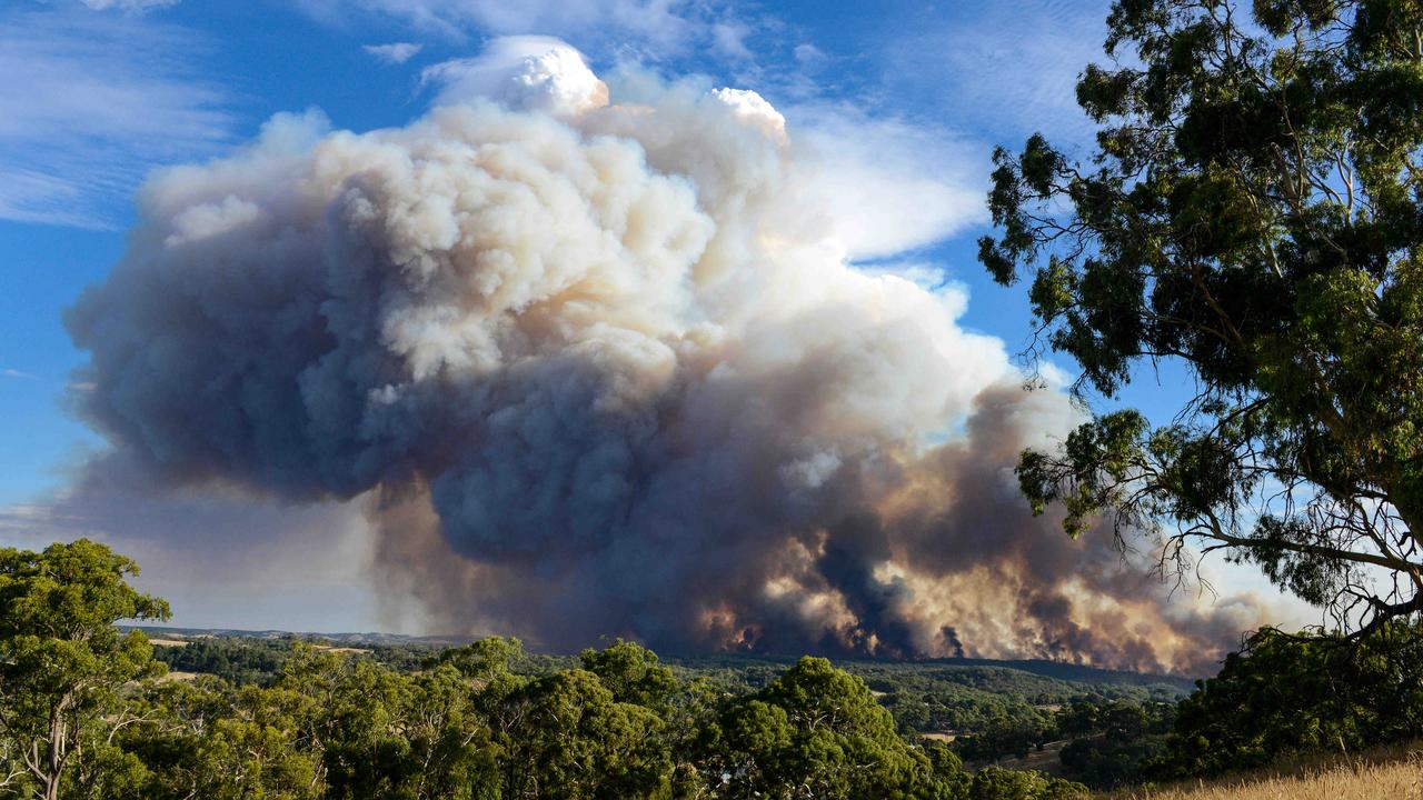 The smoke cloud was visible across Adelaide and the Hills. Picture: Brenton Edwards