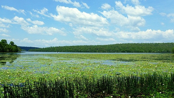 Manton Dam was closed on Thursday after reports of a 3m saltwater crocodile. Picture: Facebook