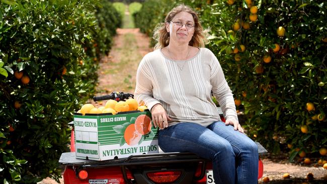 Riverland farmer and SAMI chair Caren Martin at Waikerie. Picture: Tricia Watkinson