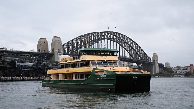 The new smaller ferries have been beset by issues during their manufacture and testing. Picture: Adam Yip