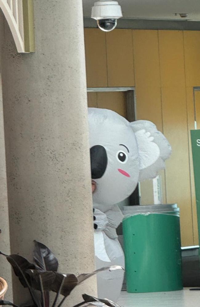 Janelle Spies, 33, of Noosa, hiding around the corner while waiting to welcome her two unsuspecting sisters home from the USA at the Brisbane Domestic Airport. Picture: Supplied