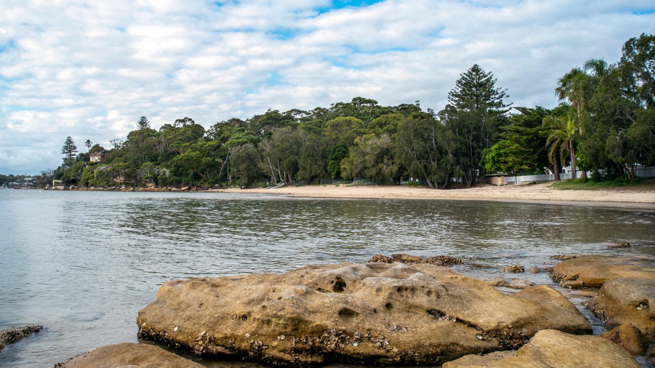 Kutti Beach: The incredible secret Sydney beach locals don’t want you ...