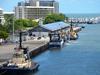 Report bones pile up as Cairns awaits critical answers