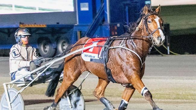 Ollivici makes his return at Melton on Saturday night ahead of an Inter Dominion campaign. Picture: Stuart McCormick
