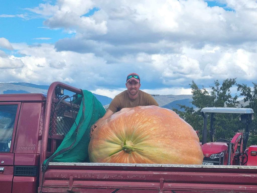 The commodore saw an opportunity for fun and navigated Mr Peacock’s hollowed-out pumpkin down Tumut River. Picture: Facebook