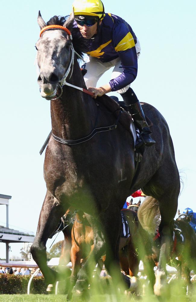 Chautauqua wins the Gilgai Stakes on Turnbull Stakes Day in 2014. Picture: Getty Images