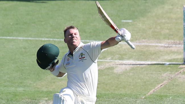 David Warner jumps for joy after his droughtbreaking hundred at the Gabba.