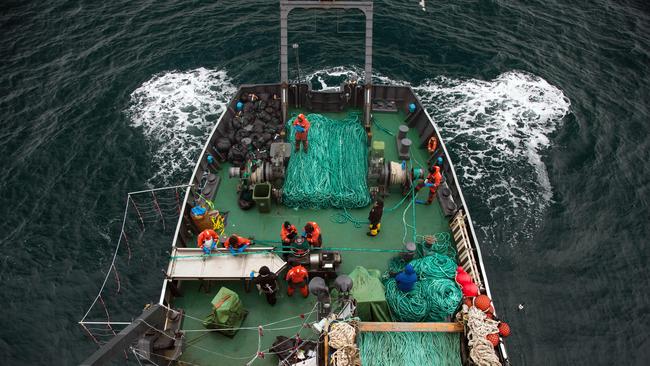 A strategic gillnet retrieval operation as it unfolds on the aft-deck of the Sam Simon in the Southern Ocean. Picture: Giacomo Giorigi/Sea Shepherd Global