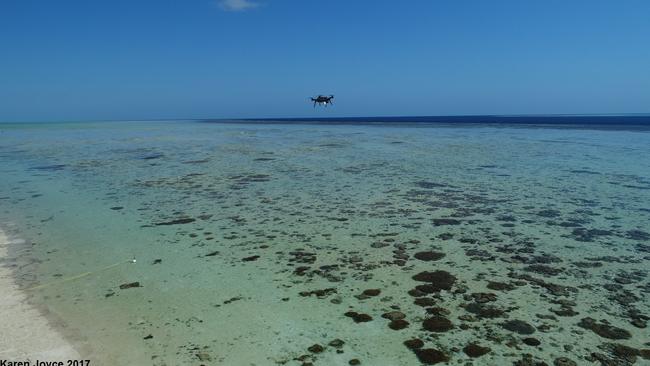 A drone capturing the poo excreted by sea cucumbers on the reef surrounding Heron Island. Picture: Karen Joyce