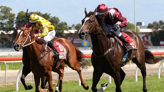 Code Noir, right, hasn’t raced since March last year. Picture: Regi Varghese