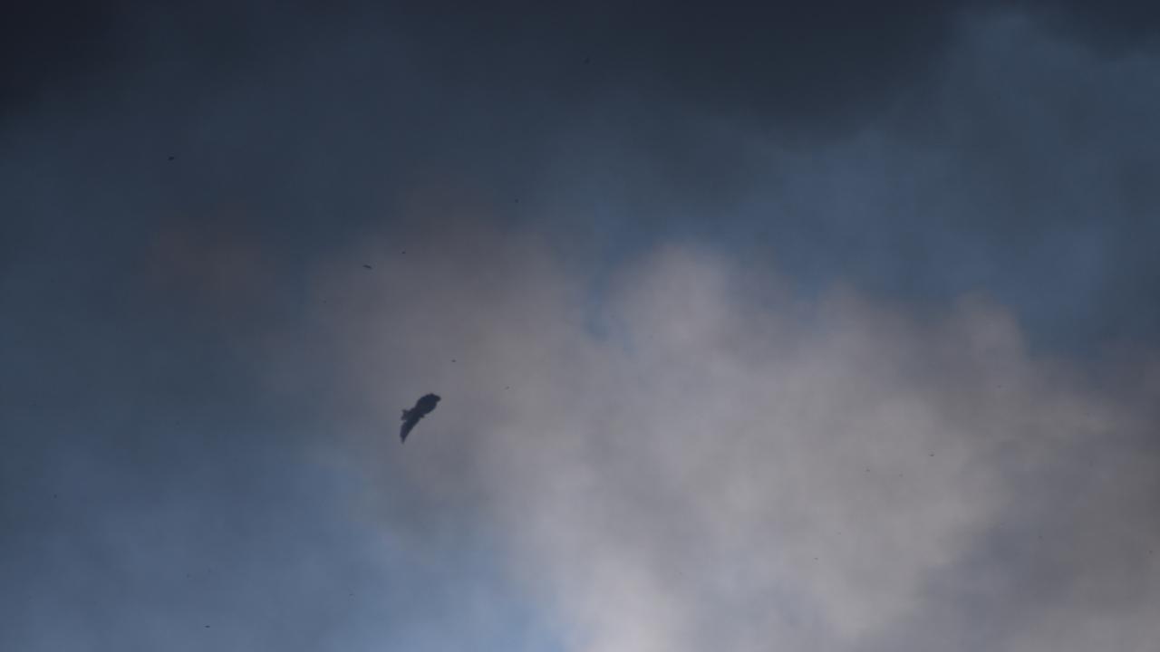 Debris flies through the air at Kalkie.