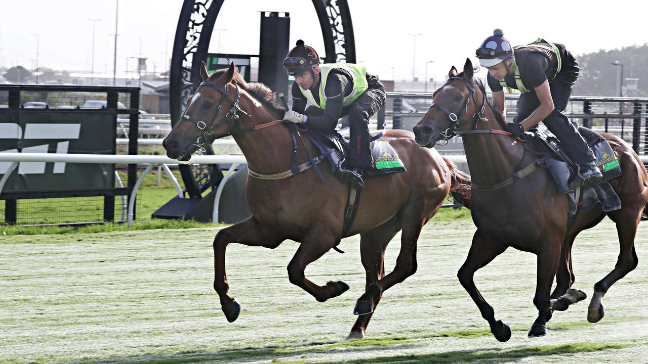 QLD_CM_SPORT_RACING_TRACK GALLOPS_04DEC18