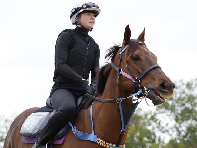 Bella Nipotina has been referred to as an ‘iron lady’ of racing. Picture: Richard Dobson