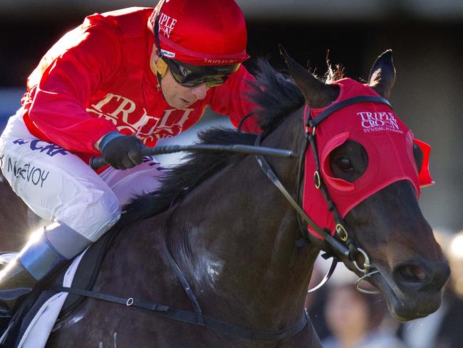 The Peter and Paul Snowden-trained Redzel has a huge challenge ahead. Picture: Jenny Evans