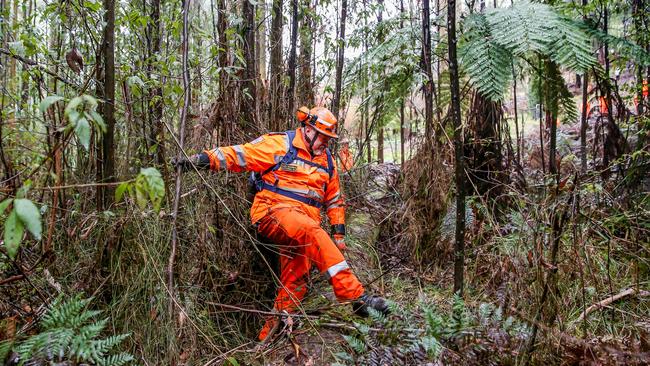 Volunteers searched dense bushland in cold and wet conditions. Picture: Tim Carrafa