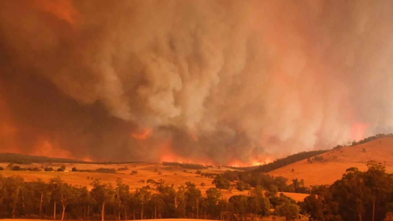 ‘Most people in Mallacoota could see by the intensity of it that it was going to be the fire we’d all been expecting.’ Picture: Supplied