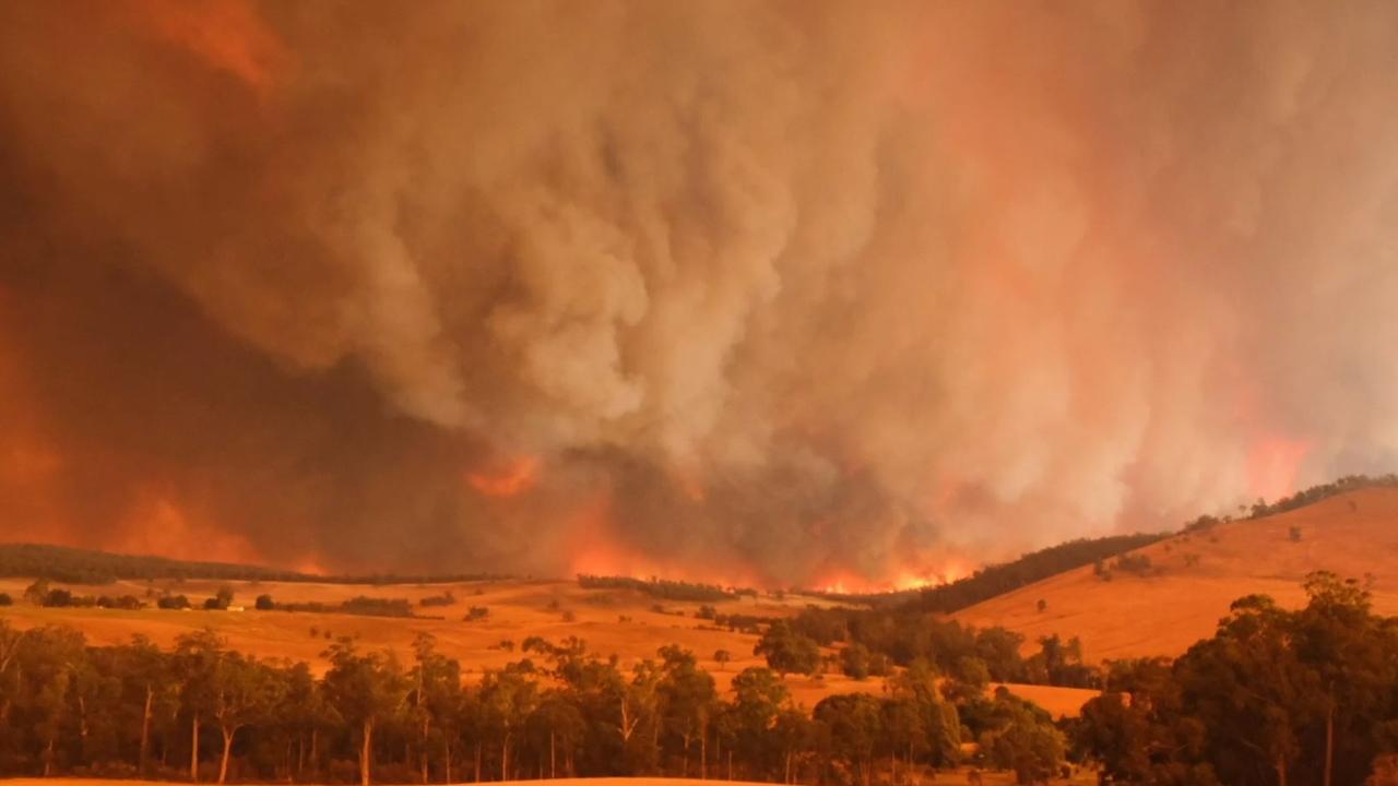 ‘Most people in Mallacoota could see by the intensity of it that it was going to be the fire we’d all been expecting.’ Picture: Supplied