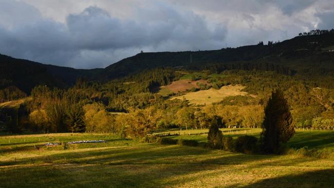 A view of the Altiplano, the high plains around Bogota. Picture: William Usaquent/Universidad Nacional de Colombia