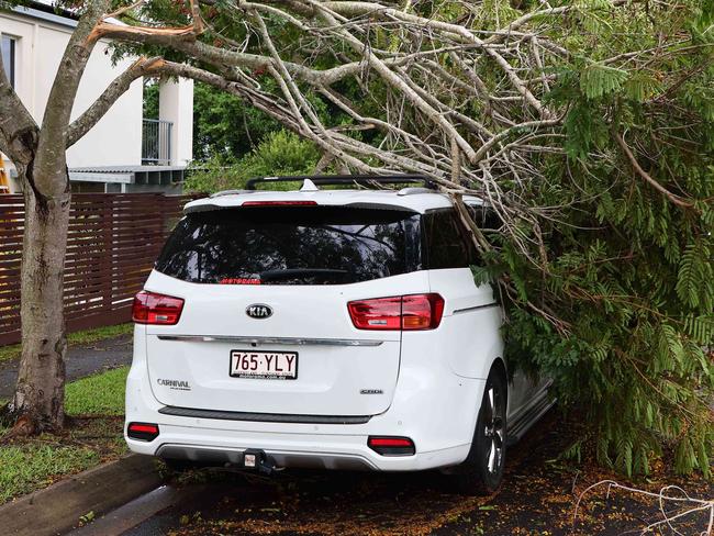 BRISBANE, AUSTRALIA - NewsWire Photos MARCH 11, 2025: A tree fell on a car in Murarrie as cleaning continued in Brisbane after heavy rain with flooding and damaging winds continued in the wake of now ex Cyclone Alfred. Picture: NewsWire/Tertius Pickard