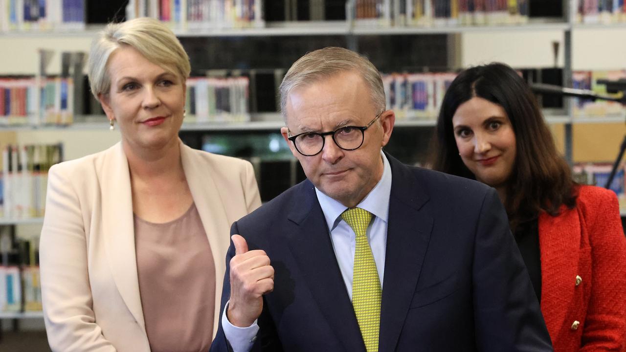 Labor leader Anthony Albanese campaigns with Tanya Plibersek.