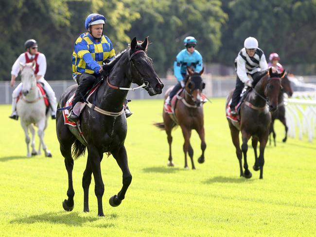 The upgraded Eagle Farm surface received mixed reviews for jockeys. Picture: Jono Searle