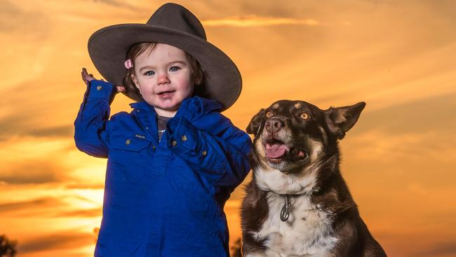 Quinn, 15 months, enjoys the last light with family dog Gypsy on the family property near Rupanyup. Picture: Jason Edwards