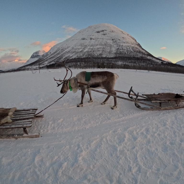 This was another great experience learning about Sami culture and reindeer herding. Picture: news.com.au/GoProHero12